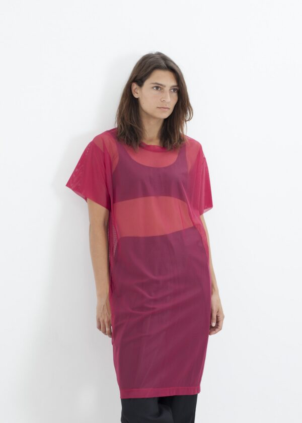 2014-09-20_Lana_Look_08_01.jpg Mesh Over Dress in Pink