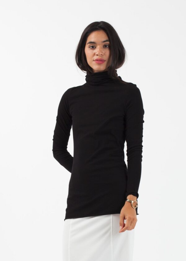 2015-07-02_Ashley_12_51000_23821.jpg Turtleneck